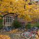 Illustration for article titled Stanford Student Compares Rape to Not Locking Up a Bike